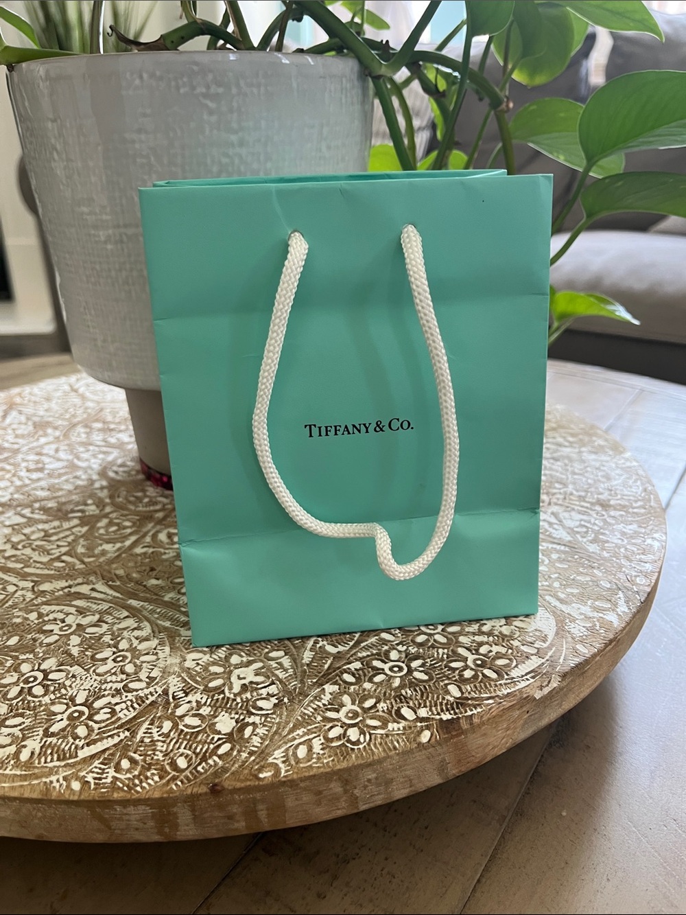 Tiffany & Co. Gift Bag Tote - Picture 4 of 9